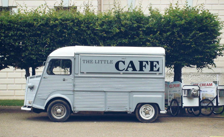 white van beside tree