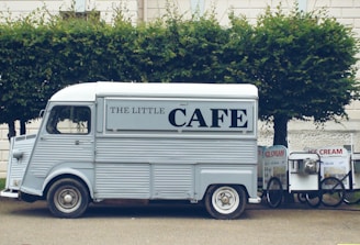 white van beside tree