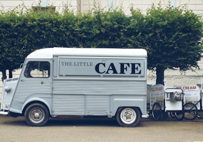 white van beside tree