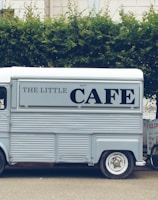white van beside tree