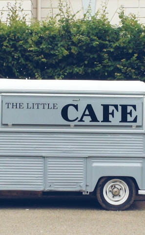 white van beside tree