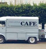 white van beside tree