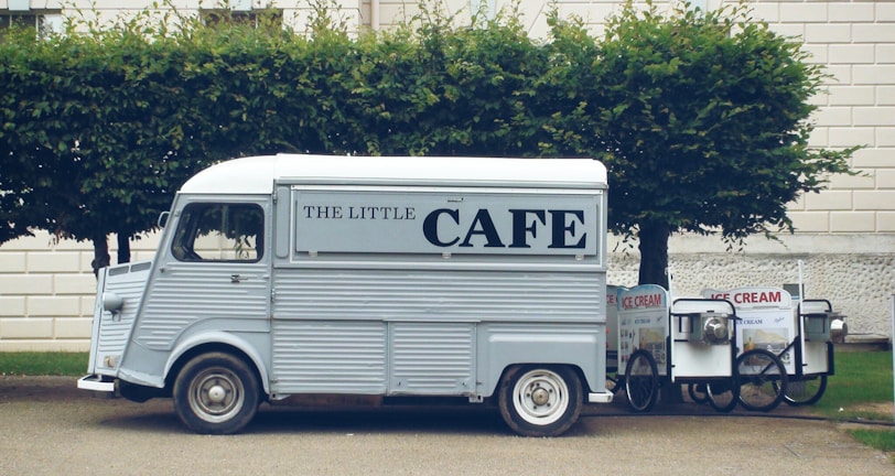 white van beside tree