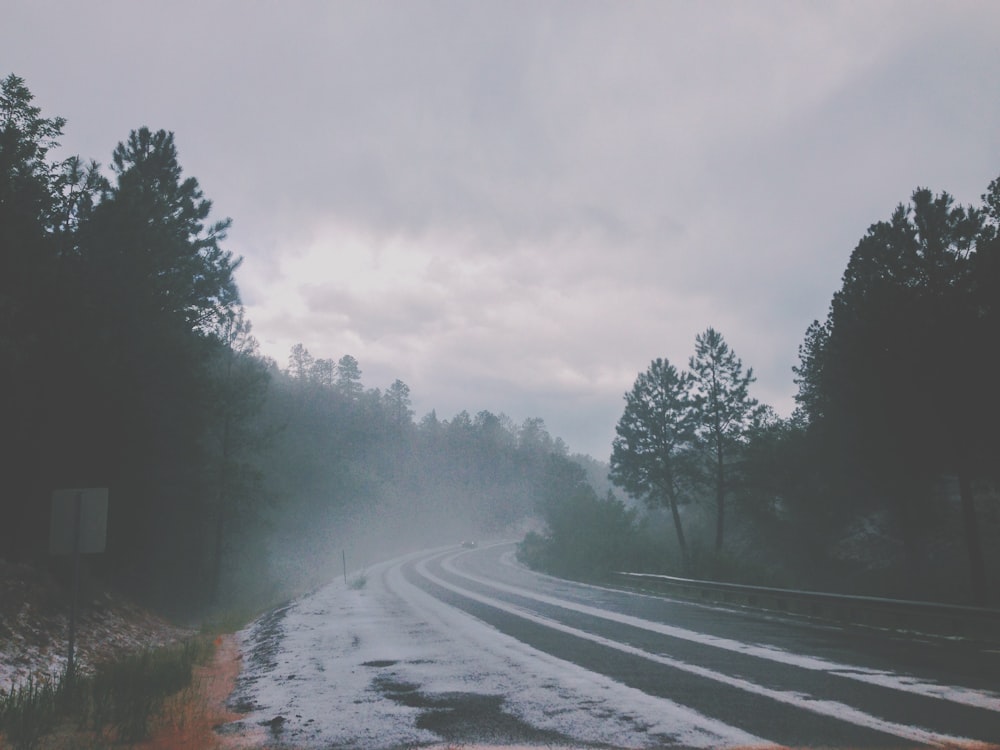 road between trees under cloudy sky at daytime