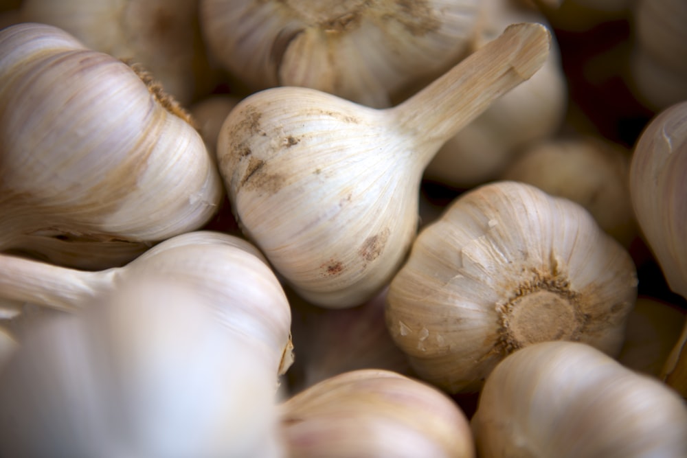 selective focus photography of onion