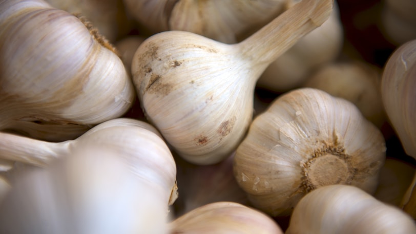selective focus photography of onion