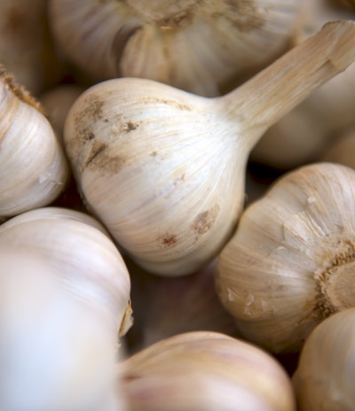 selective focus photography of onion
