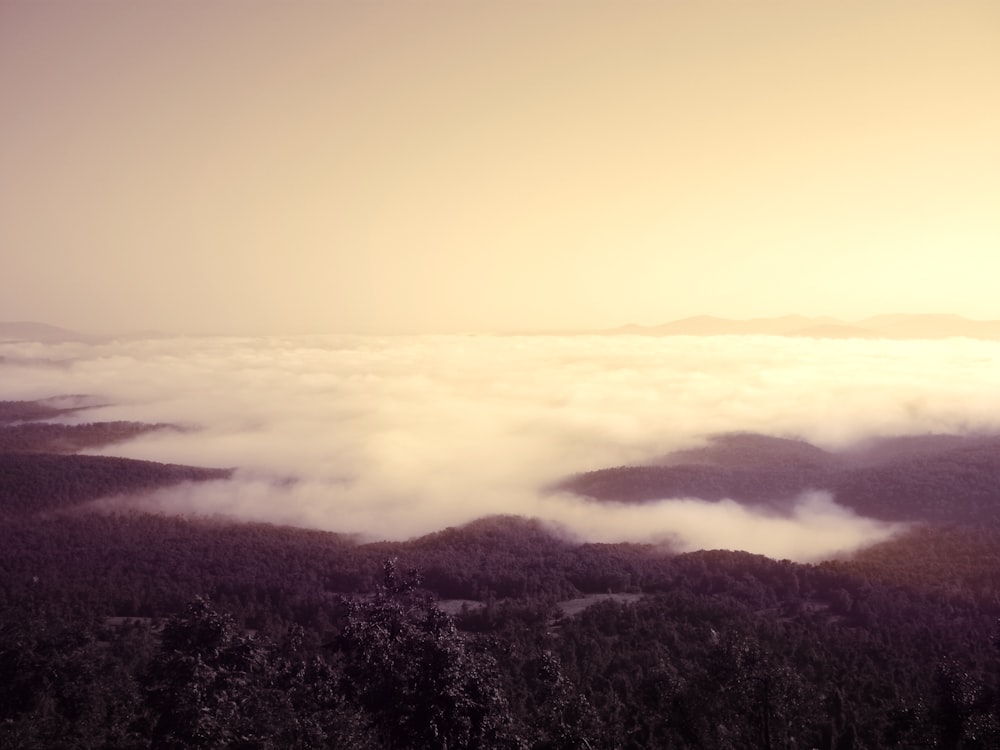 aerial photo of tree and clouds