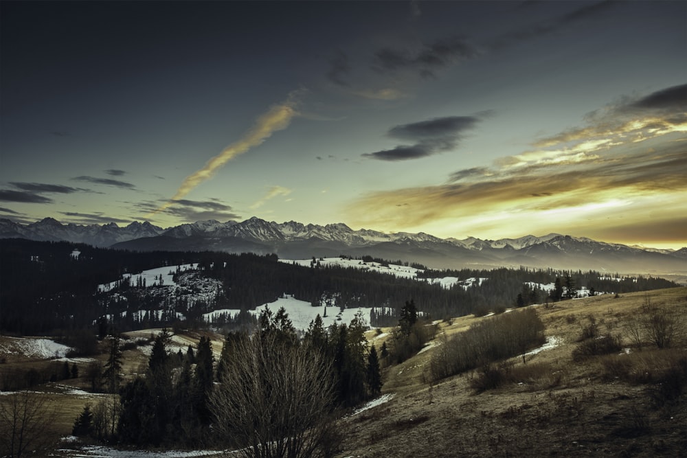 Landschaftsfoto des Berges