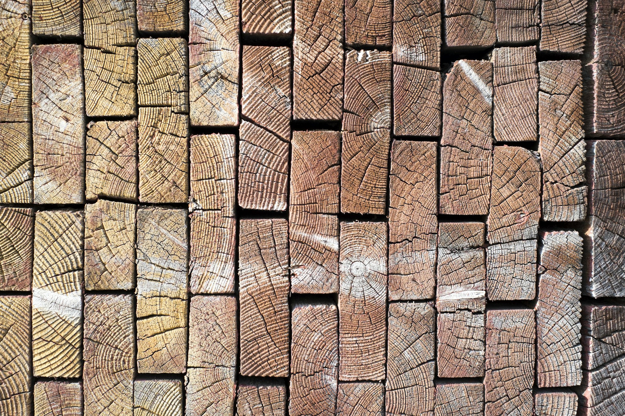 ESG news regarding Timber Illegally Exported from Brazil
