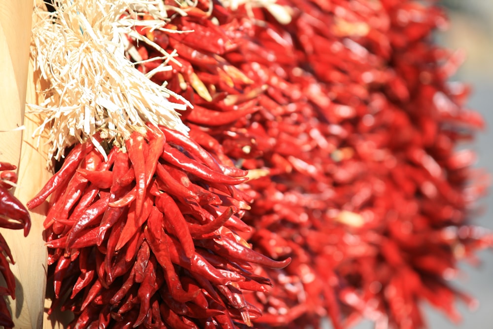 Lotto di peperoncino rosso