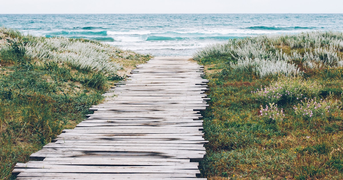 Wooden path to the beach by Health Facts brown wooden dock in fornt body of water