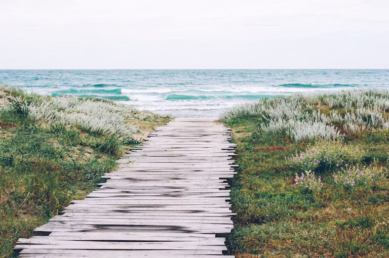 brown wooden dock in fornt body of water