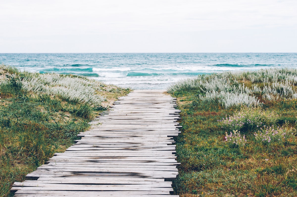 The Career Liquidity Framework: Choosing the Right Path for Your Goals