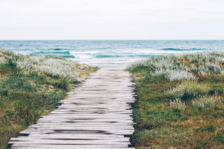 The Career Liquidity Framework: Choosing the Right Path for Your Goals