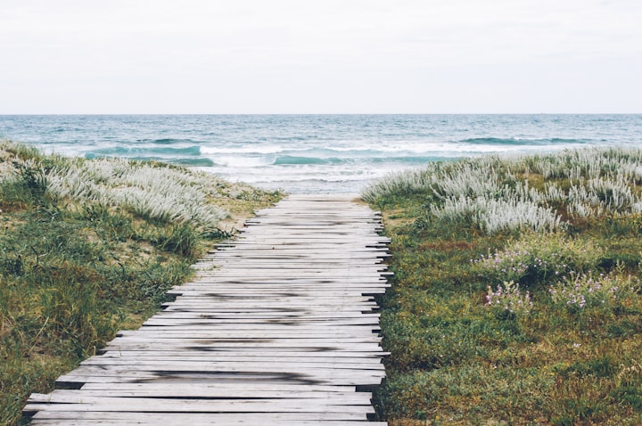 The Beach View