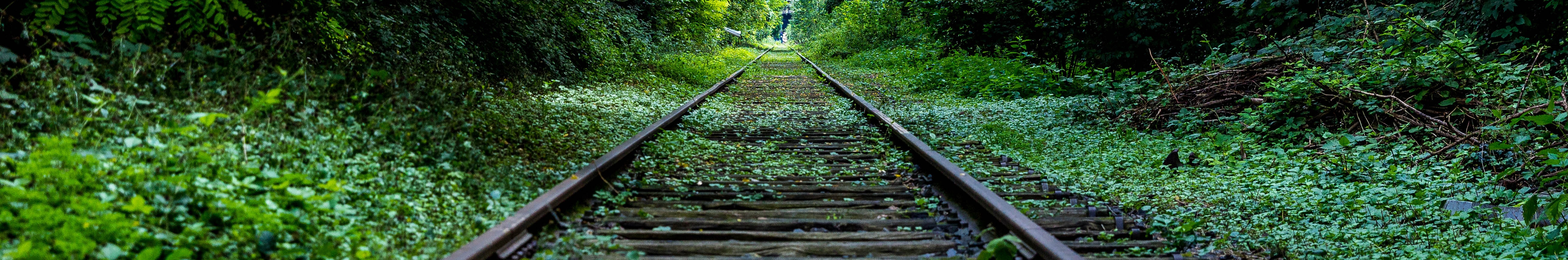 Norfolk operates 30,060 km of railroad, which overlaps natural habitat and endangers ecosystems.