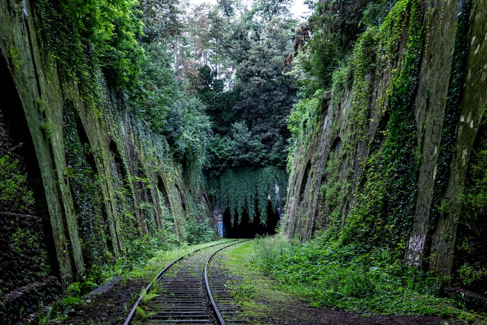 trilho de trem entre parede