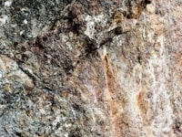 East Flat Rock