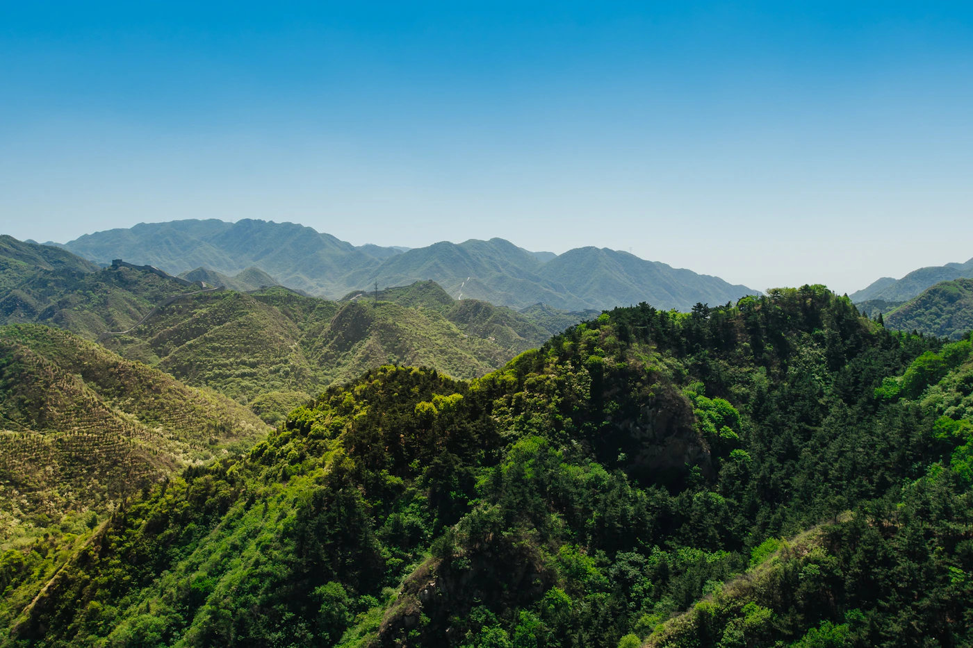 Rainforest mountains