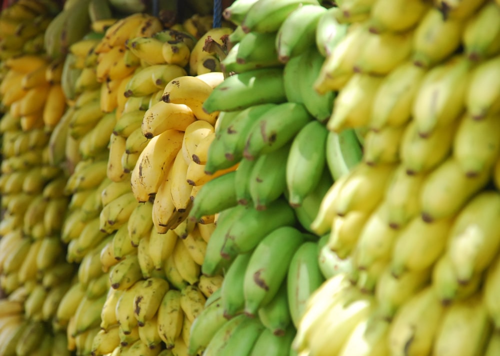 closeup photo of bunch of bananas