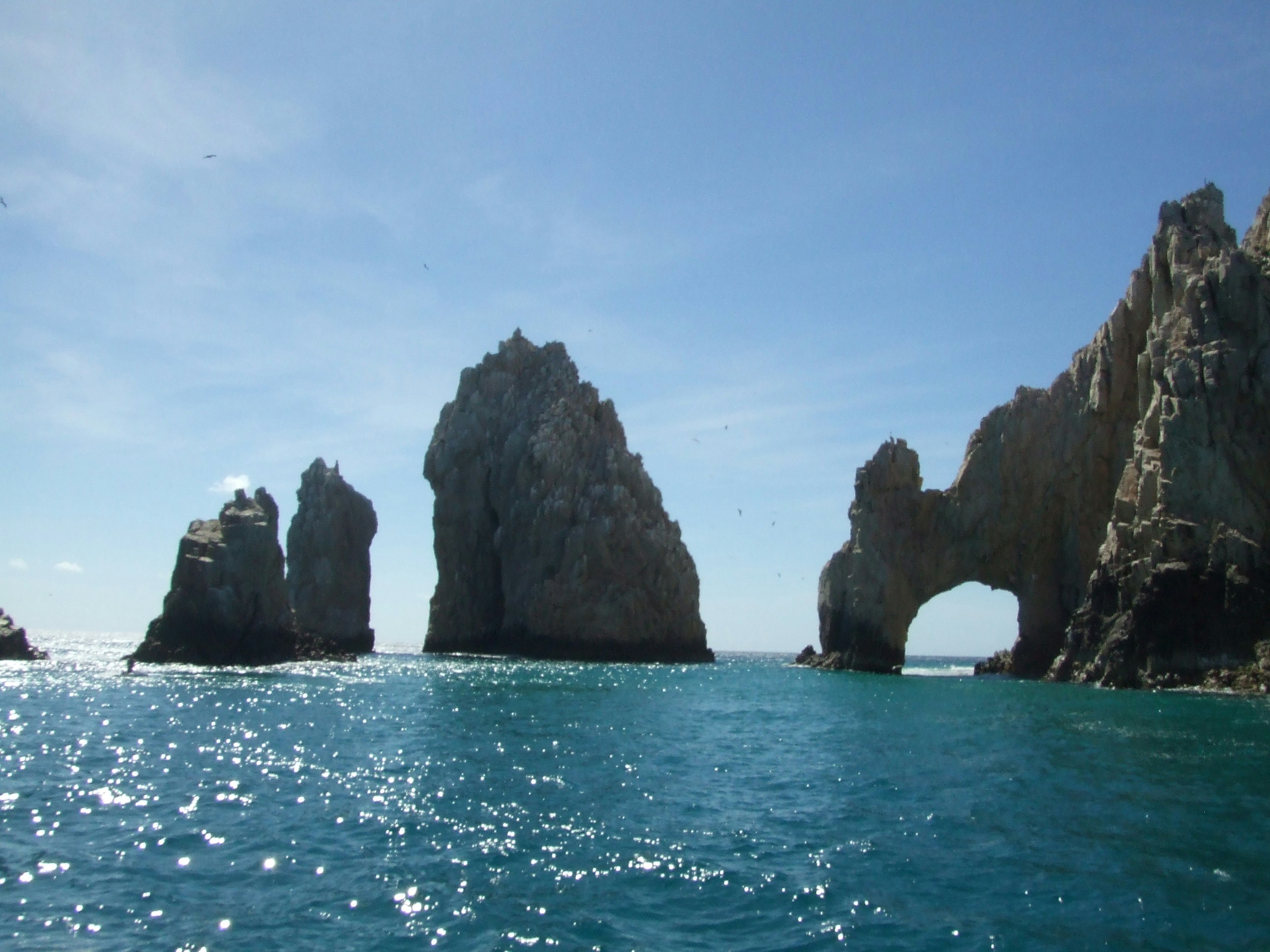 Free Unsplash photo from Kolleen Handel