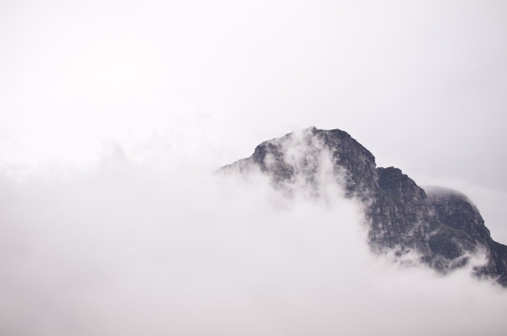 산으로 덮인 회색 산