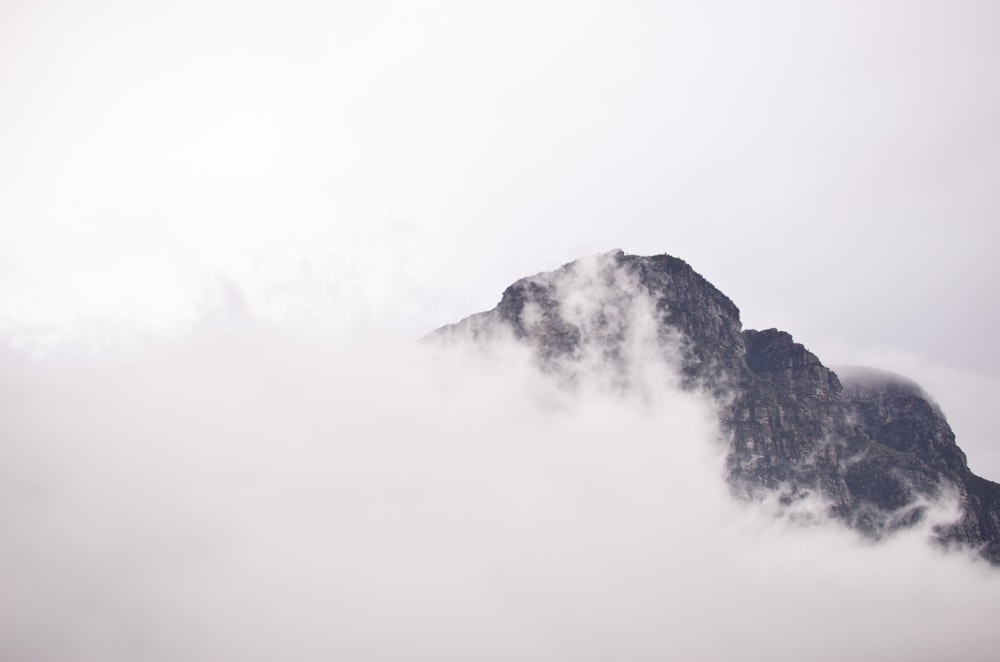 山に覆われた灰色の山