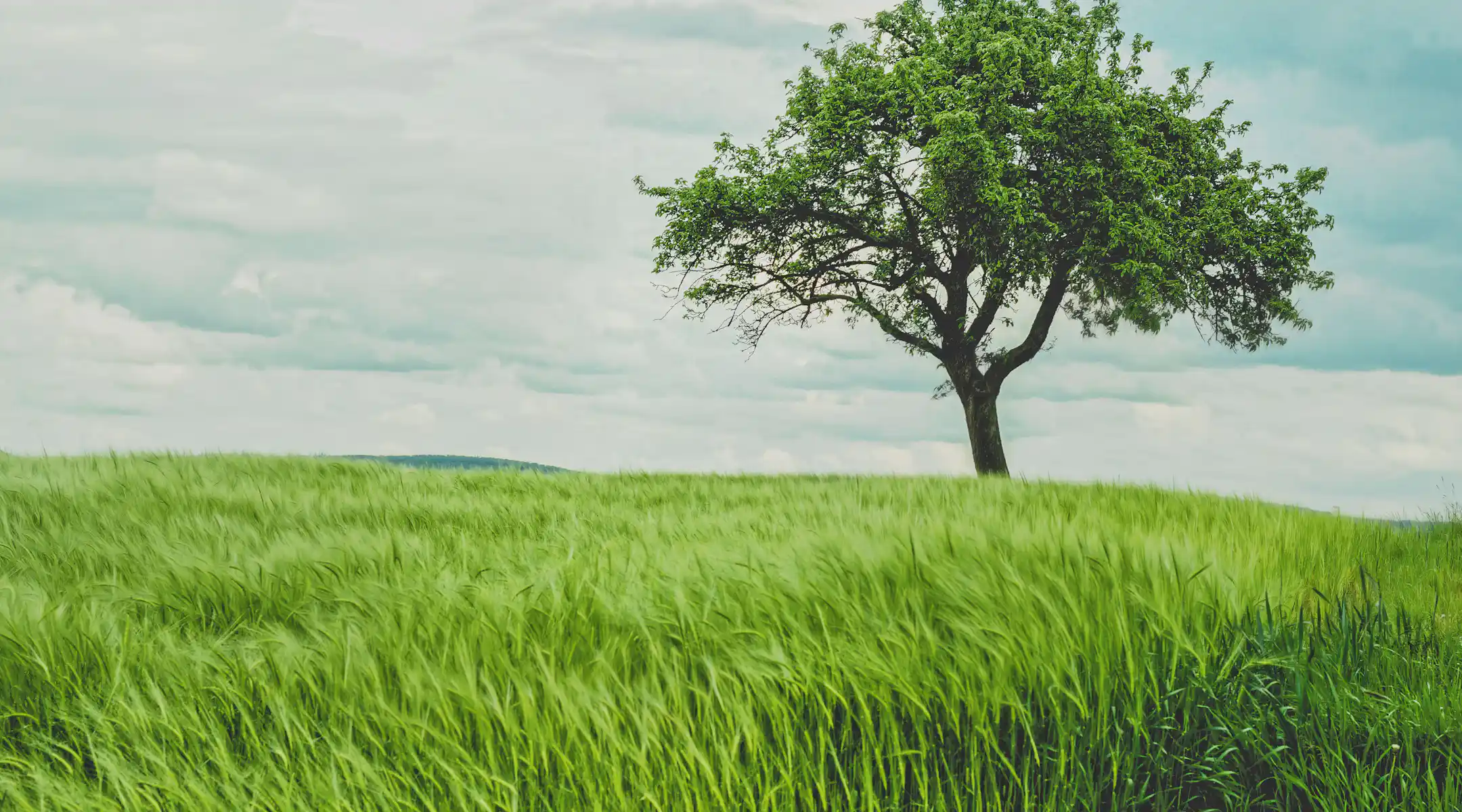 1080x600