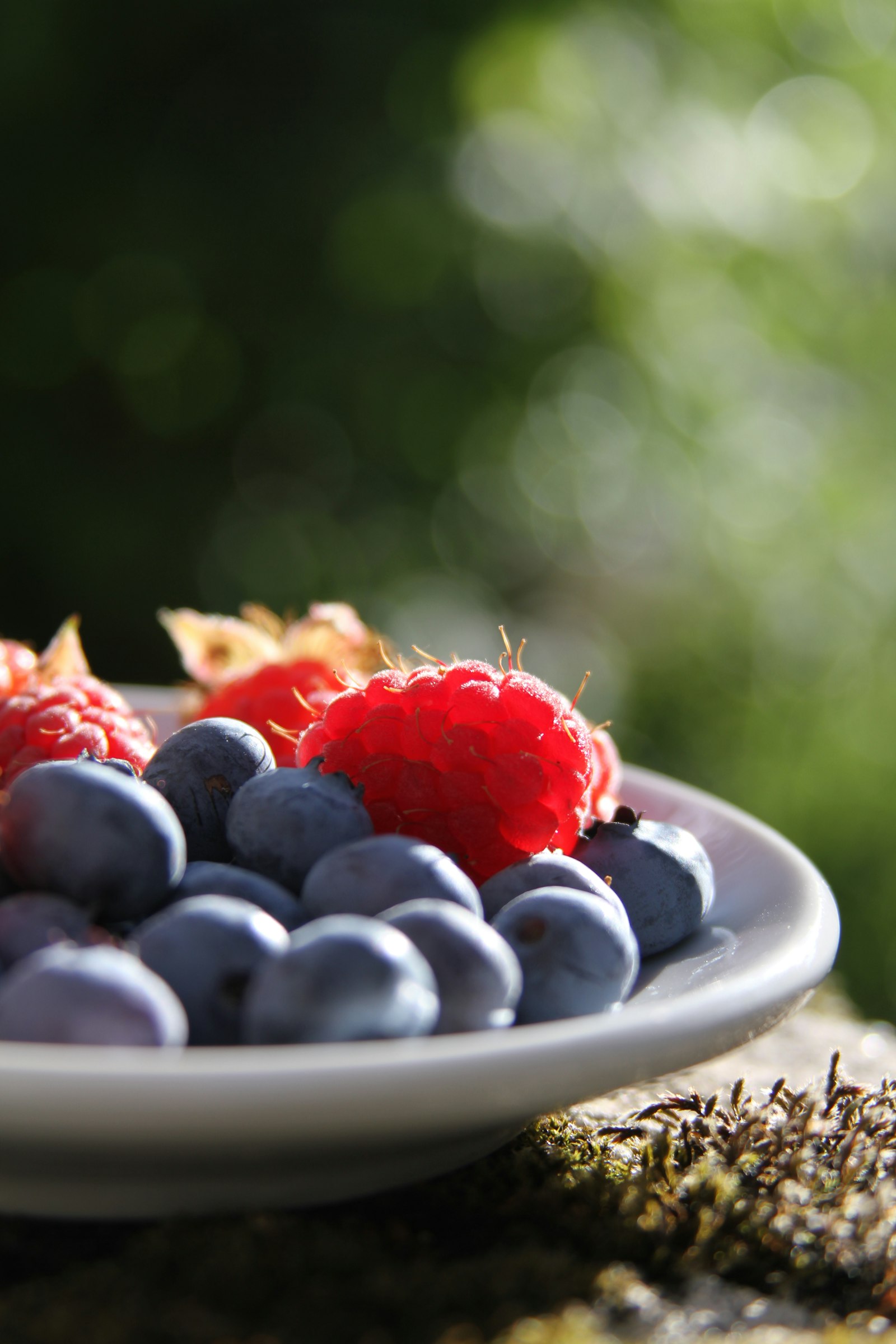 Canon EOS 7D + Canon EF 28-135mm F3.5-5.6 IS USM sample photo. Selective focus of blueberries photography