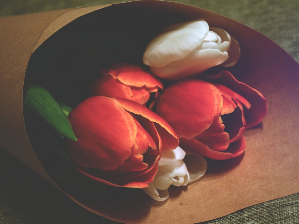 buquê de tulipa vermelho e branco