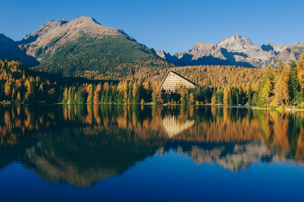 trees near mountain mirror reflection photography