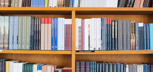 Exploring the Impact of Peers Publishing on Academic Research