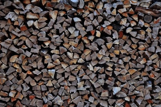 Stacked firewood pieces arranged neatly, showcasing various shades of brown and textures. The logs are cut into similar sizes and organized tightly together, highlighting their natural grain.