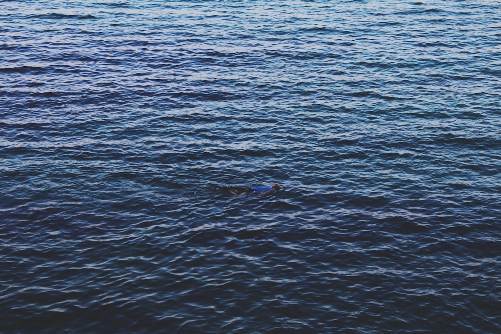 Person, die auf dem blauen Ozean schwimmt