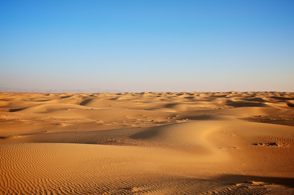 vast desert