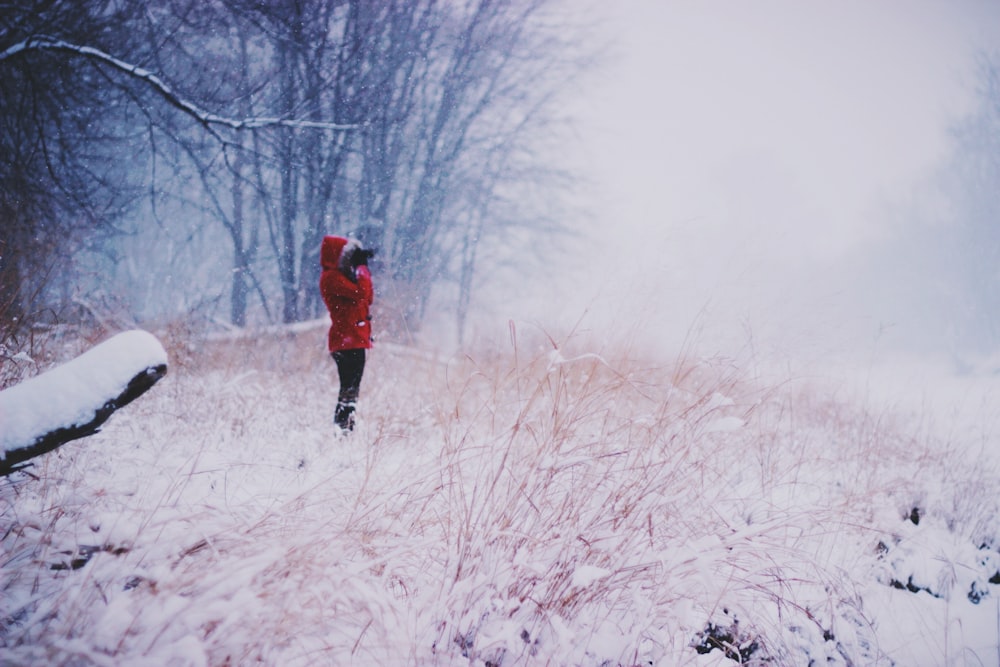 person standing wearing red coat near bare trees