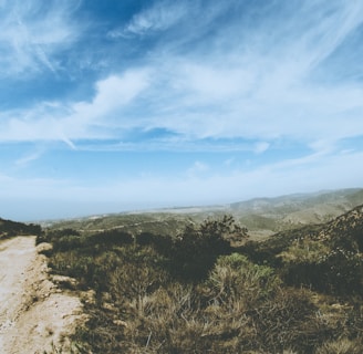 Plot of land with a dirt road access and open sky.