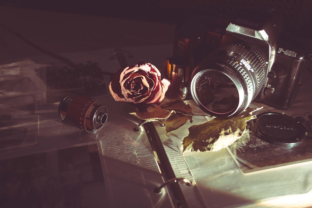 MILC camera beside red rose