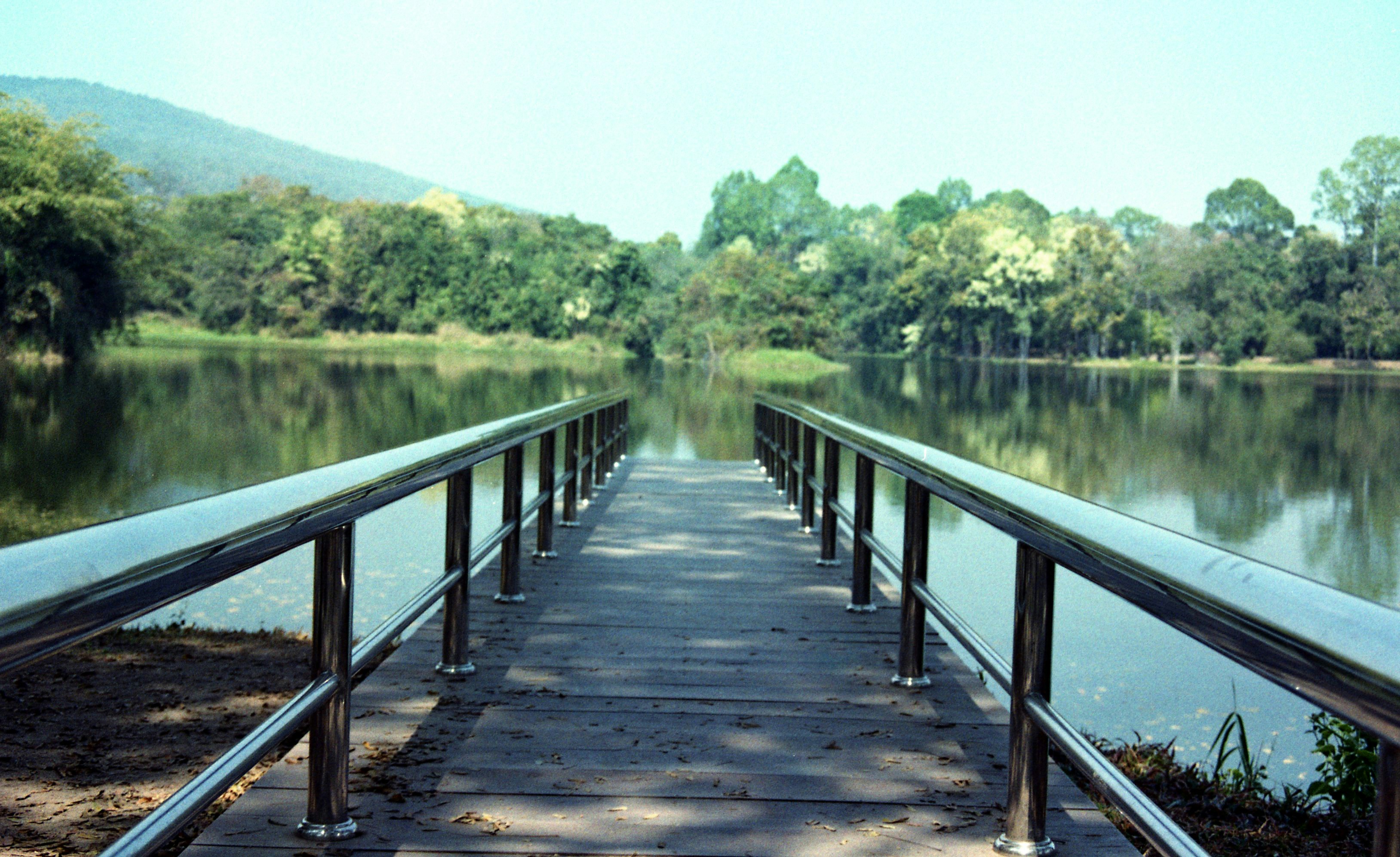 Free Unsplash photo from Ice