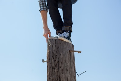 person standing on top of tree daring google meet background