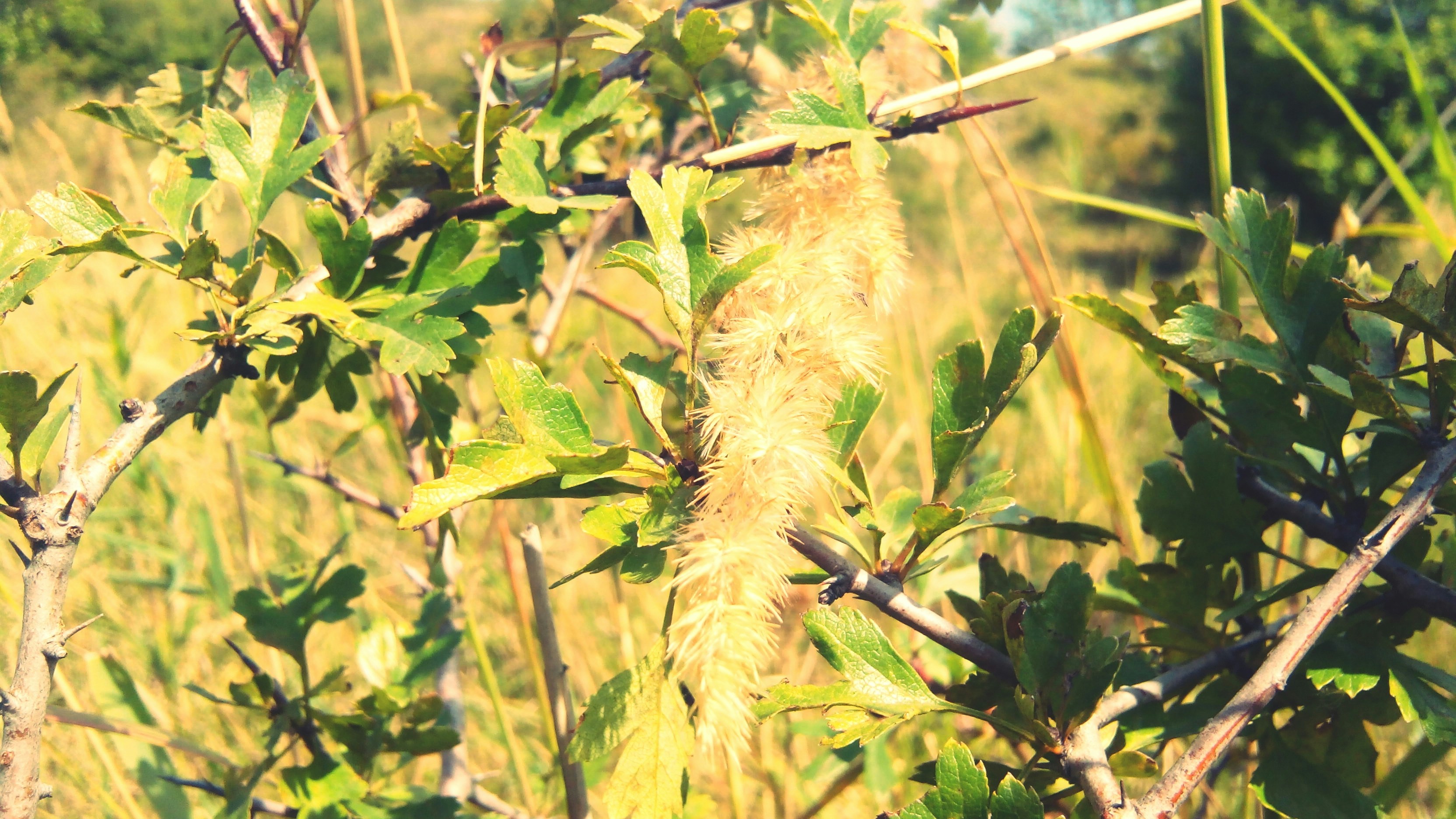 Free Unsplash photo from Ionut-Razvan Dascalu