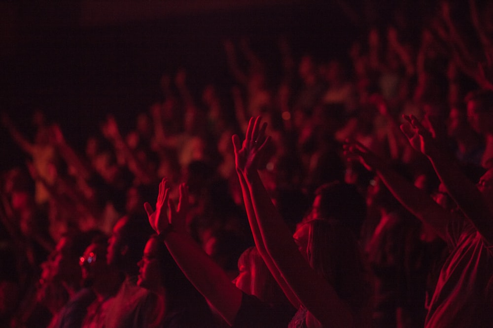 crowd lifting their hands watching concert