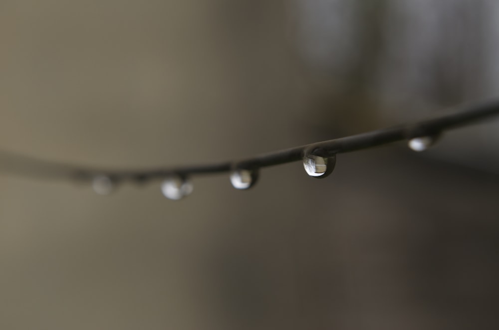 selective focus photo of water drew on wire