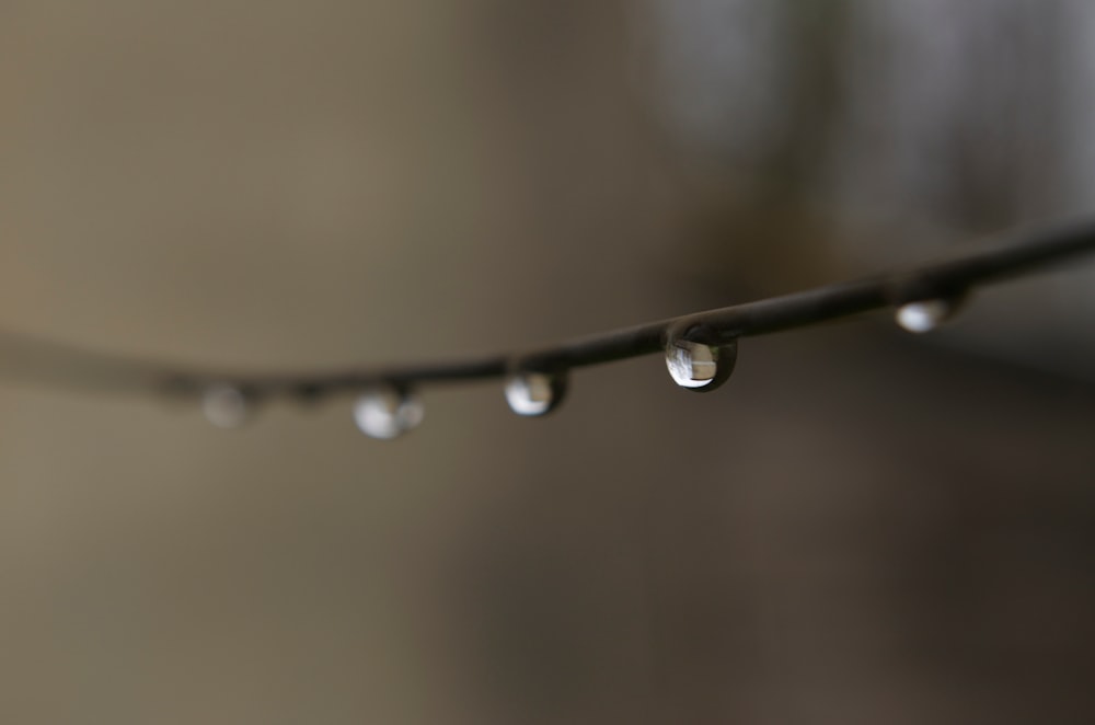 selective focus photo of water drew on wire