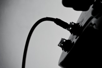 A modern, simple illustration of an electric plug connecting to a power socket with a subtle tree silhouette in the background.