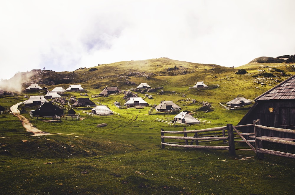 Casas en campo de hierba verde