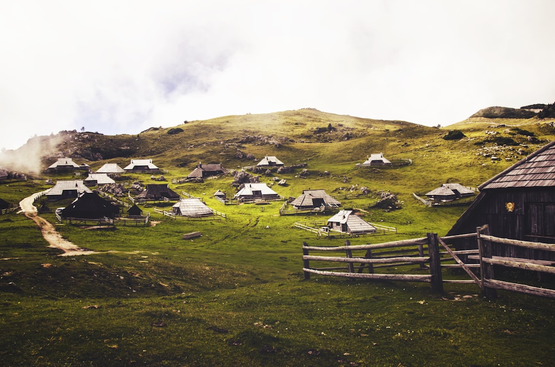 houses in green grass field,