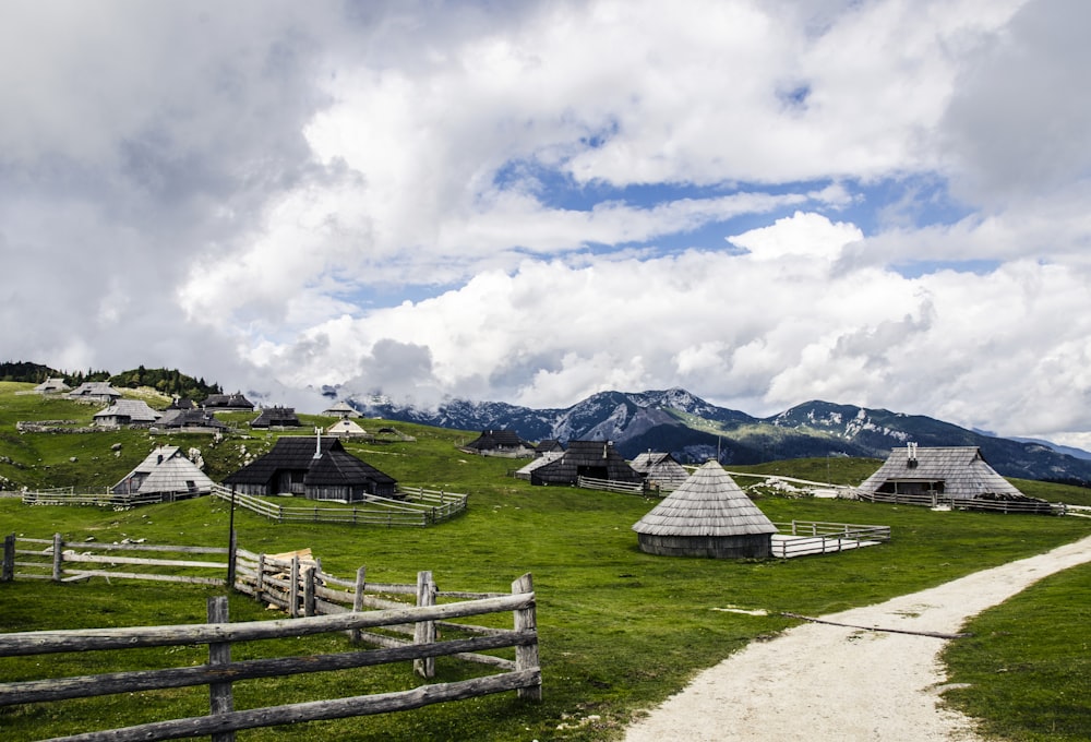 cenário de casas em uma terra de grama