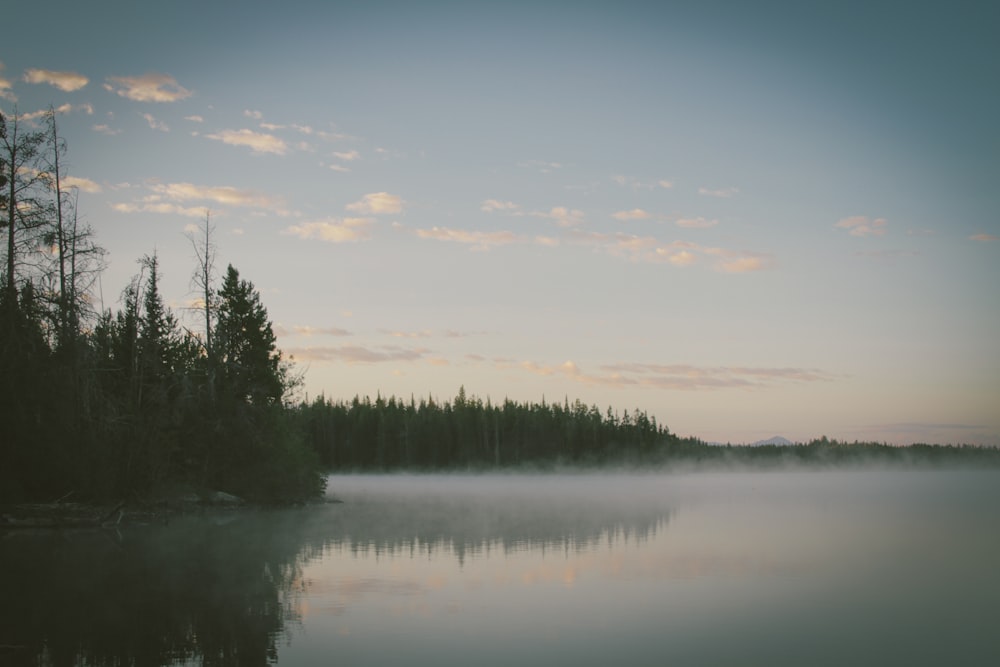 landscape photography of lake